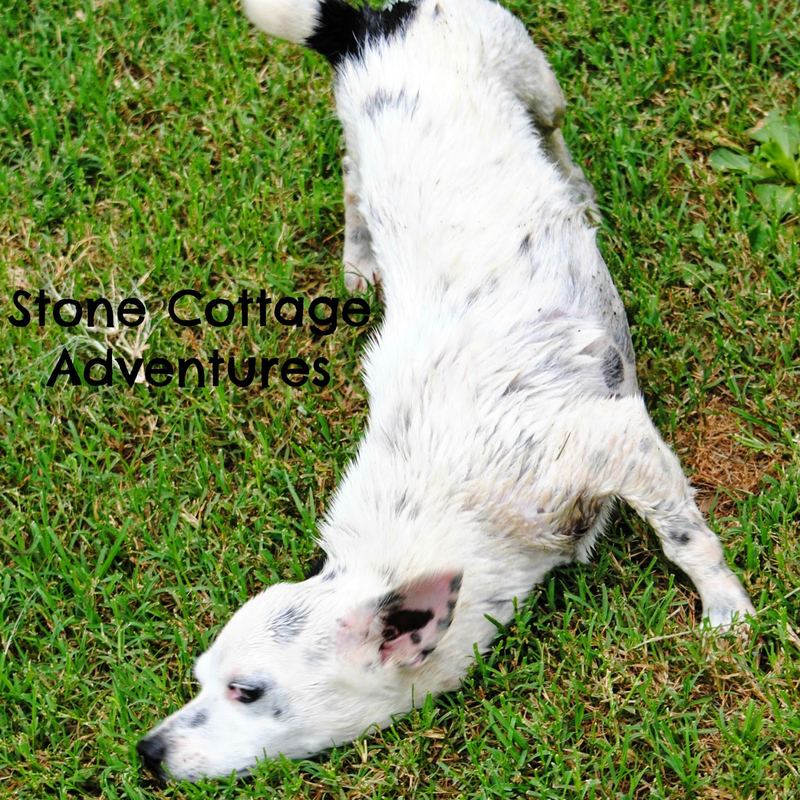 Wordless Wednesday:  Bathtime with Ivan and Abigail – photo 5