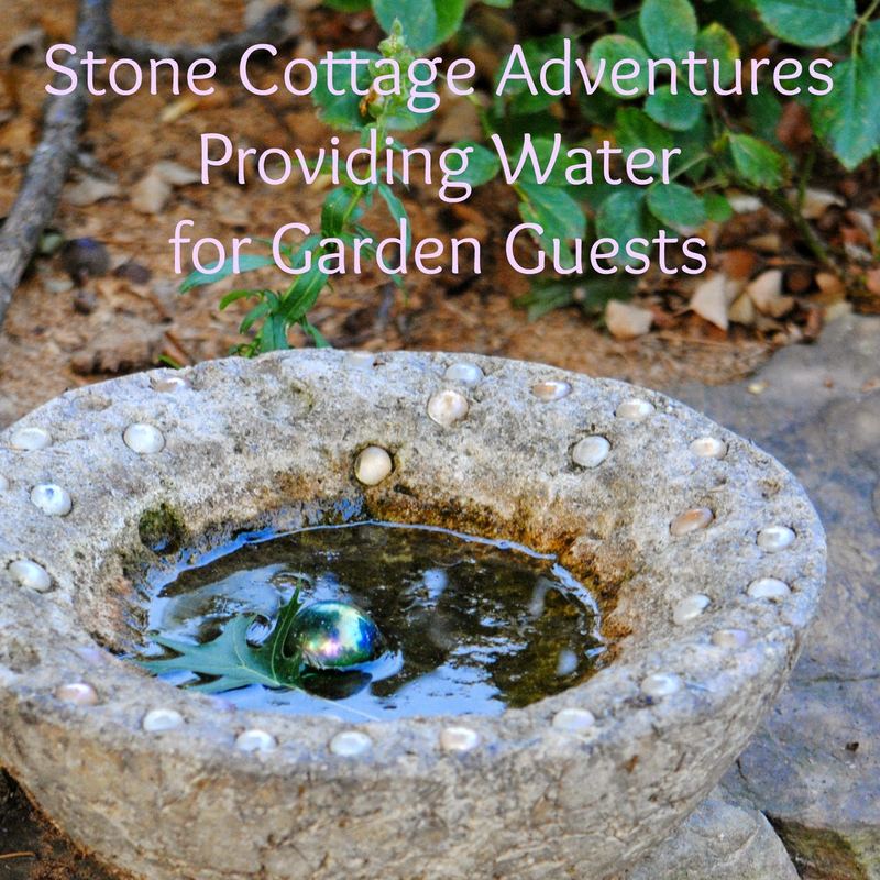 Guest Post! – photo 1