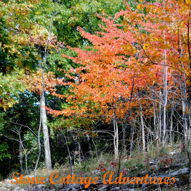Book Review: In This Mountain – photo 1