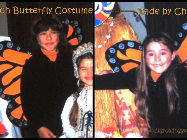 Monarch Butterfly Costume Made by Children