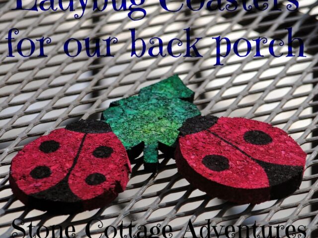 Ladybug Coasters for our Back Porch
