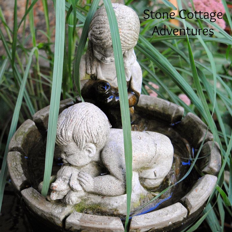 Providing Water for Garden Guests – photo 3