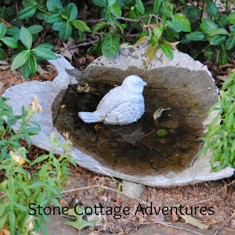 Providing Water for Garden Guests – photo 4
