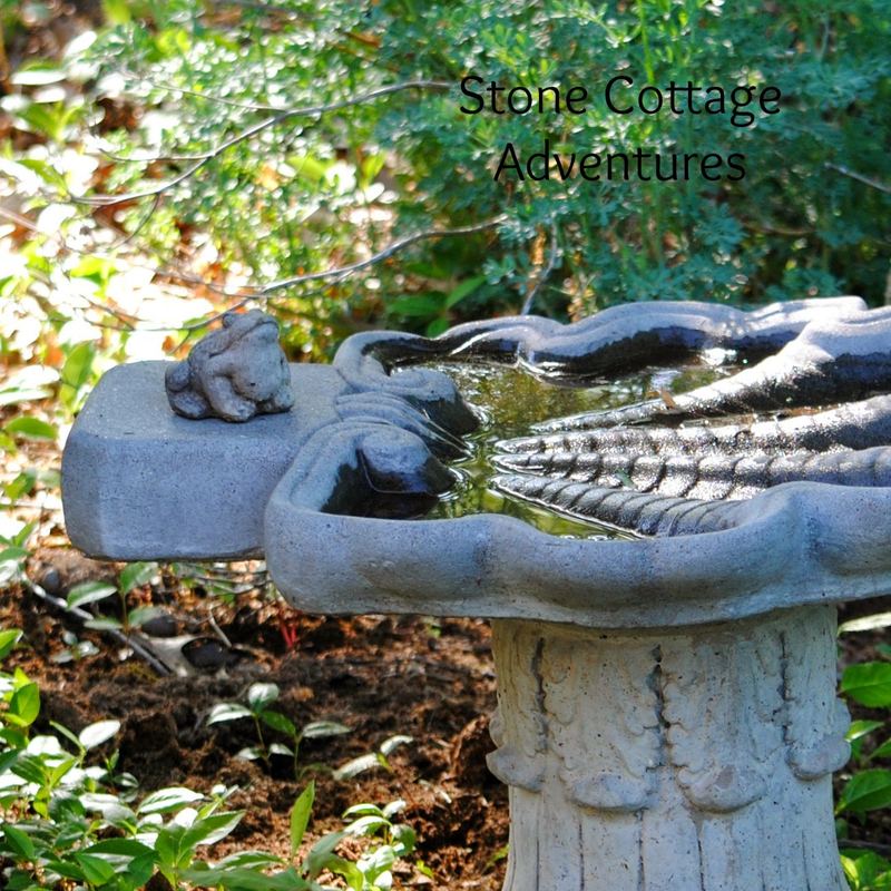 Providing Water for Garden Guests – photo 6