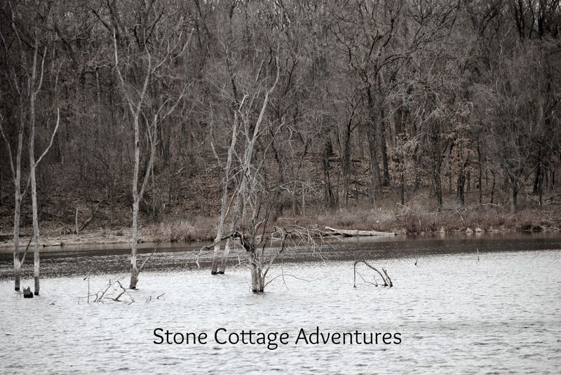 Almost Wordless Winter Hike – photo 2