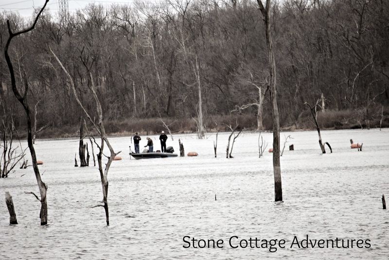 Almost Wordless Winter Hike – photo 3