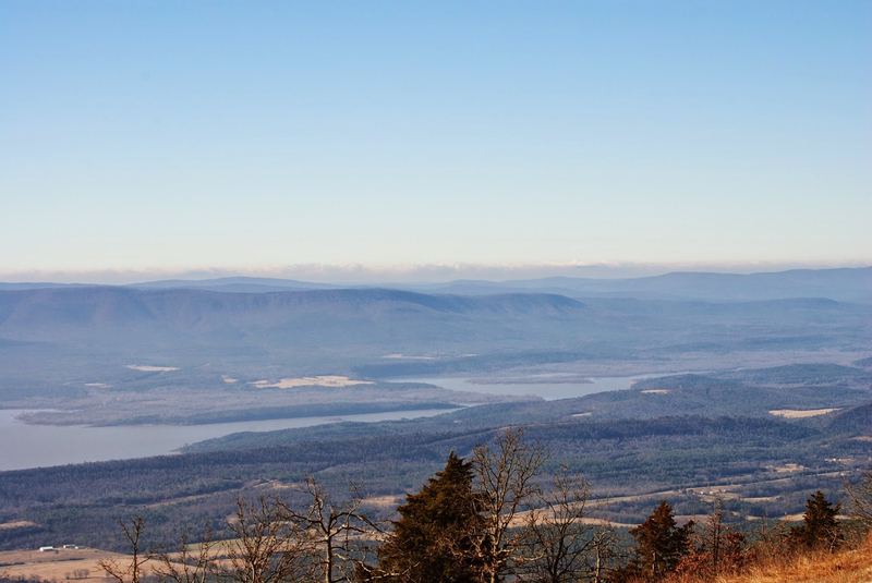 Enjoying the View – photo 6