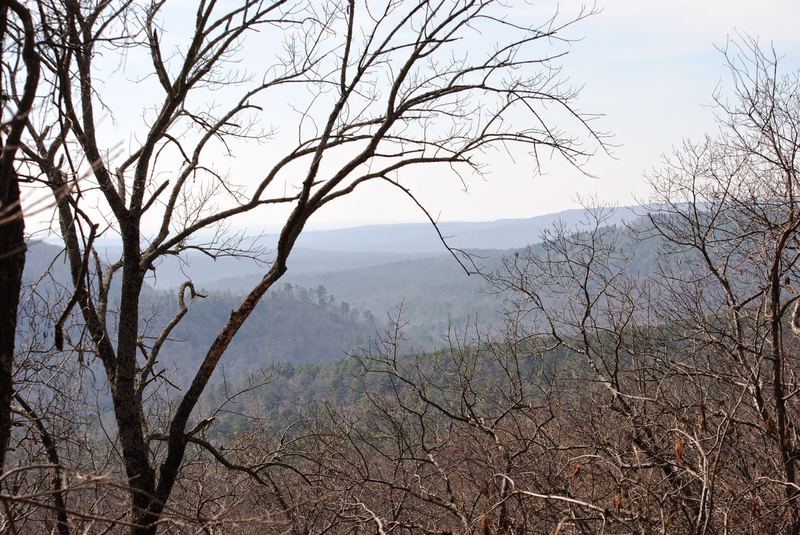 Gray's Spring – photo 2