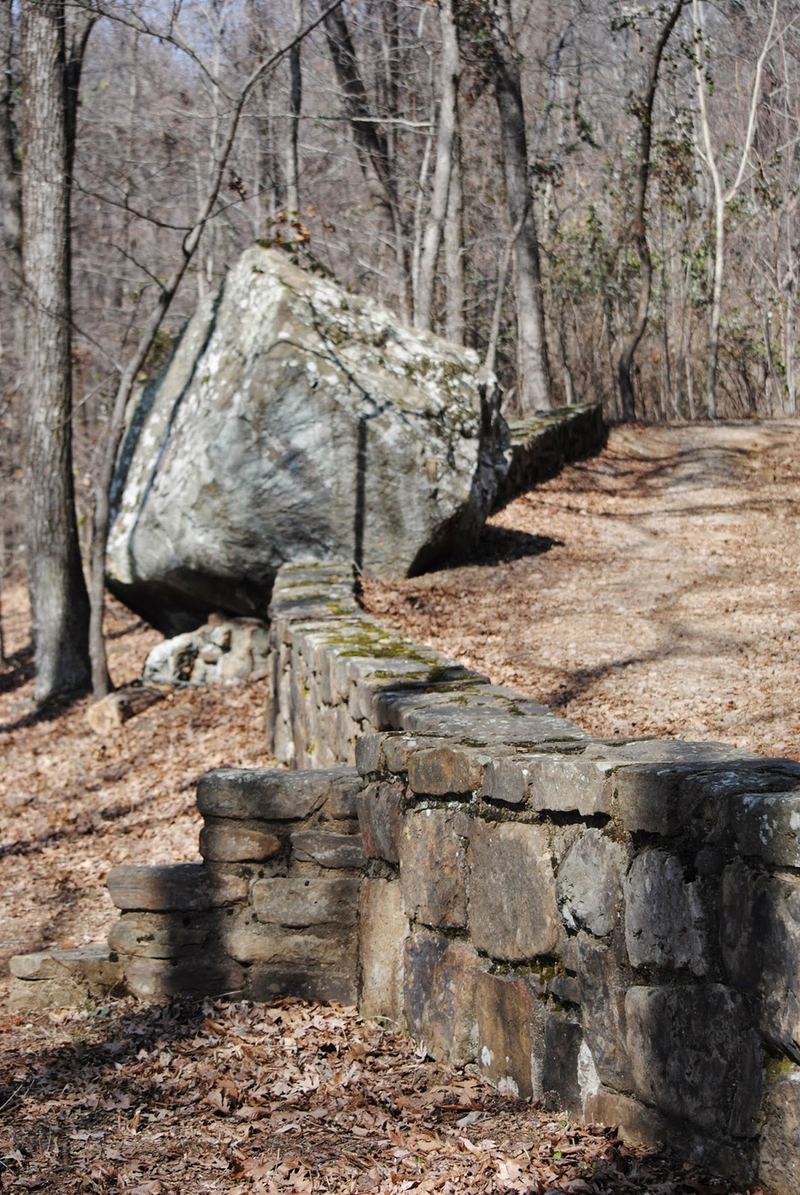 Gray's Spring – photo 4