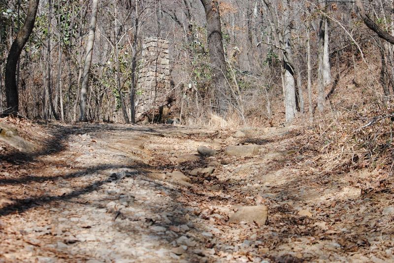 Gray's Spring – photo 5