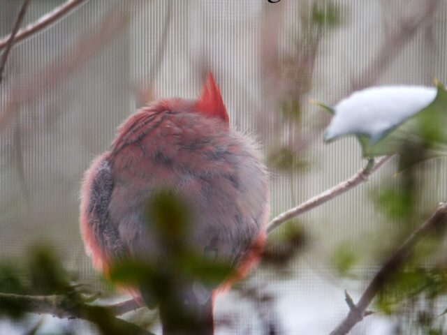 Right Outside my Window