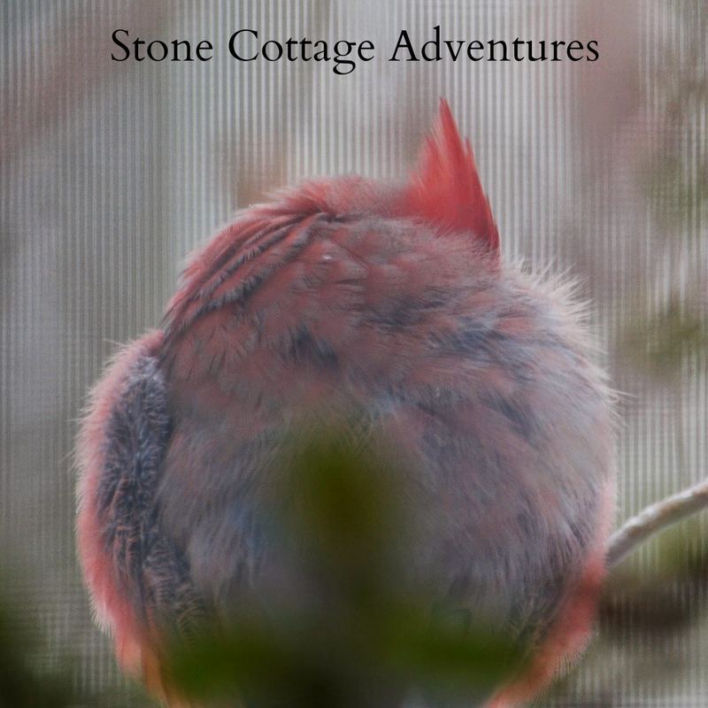 Right Outside my Window – photo 2