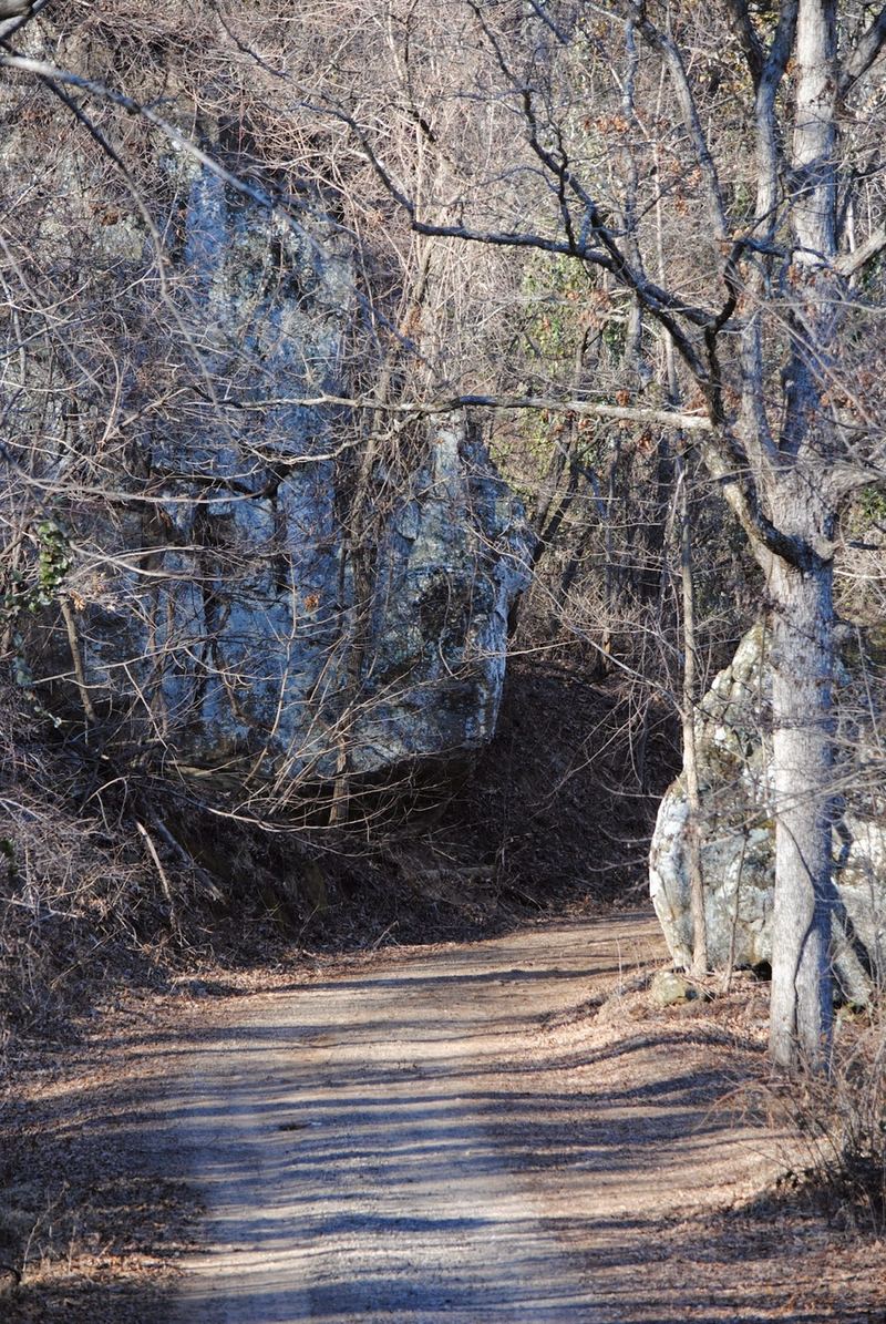 White Rock Mountain Road – photo 1