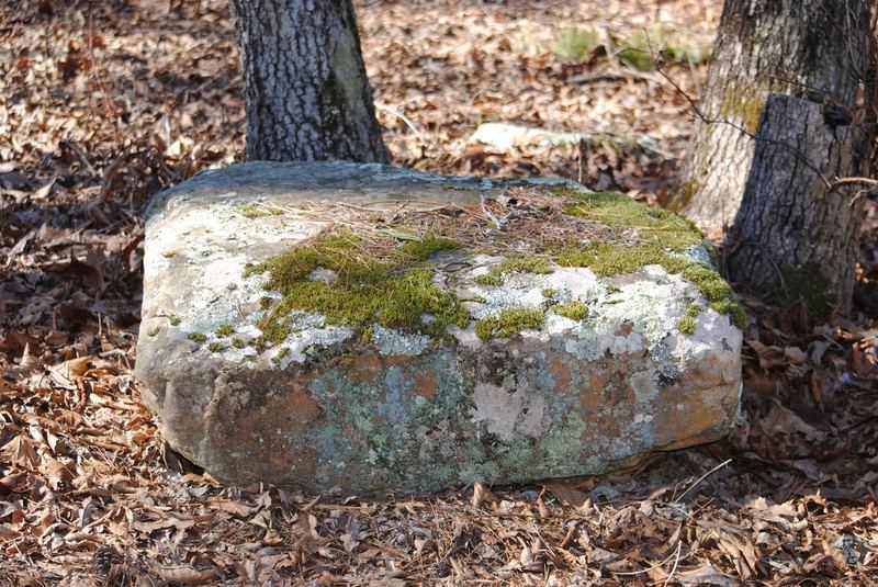 Lichen Hikin' Wordless Wednesday – photo 6