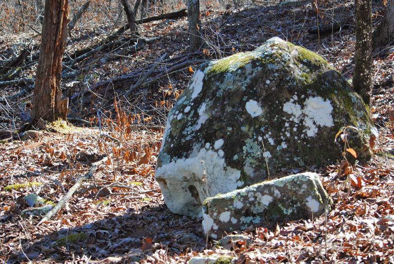 Lichen Hikin' Wordless Wednesday – photo 7