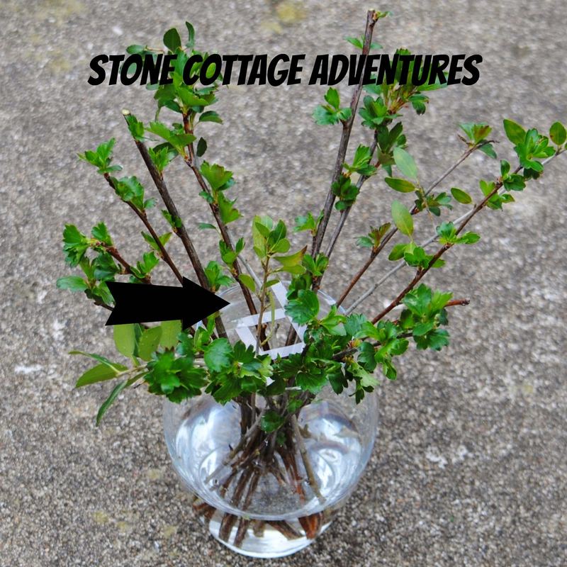 Tutorial for a Spring Bouquet – photo 10