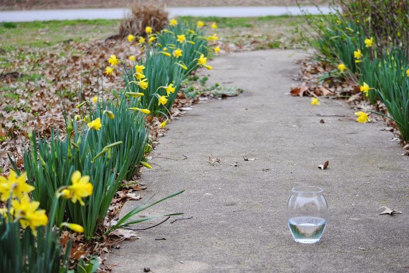 Tutorial for a Spring Bouquet – photo 2