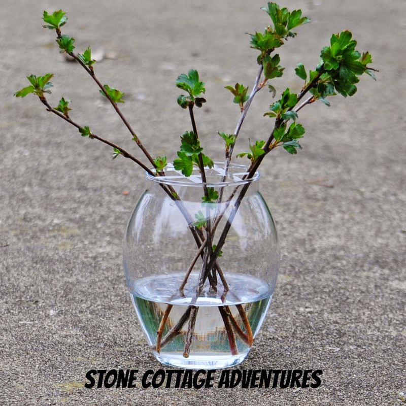Tutorial for a Spring Bouquet – photo 9