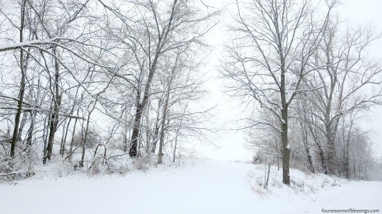 Announcing The Winners! – photo 3