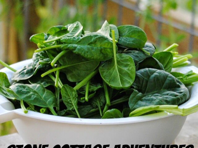 April Harvest