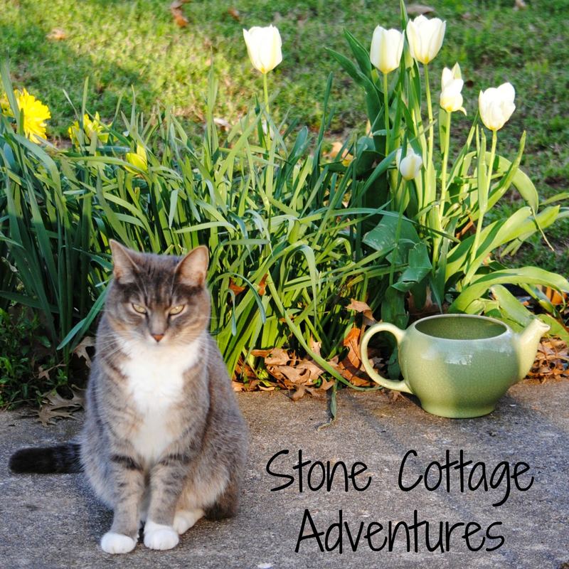 I'm a Little Tea Pot Tutorial – photo 2