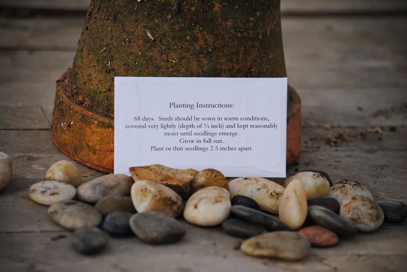 Who's Ready for Gardening Season? – photo 4