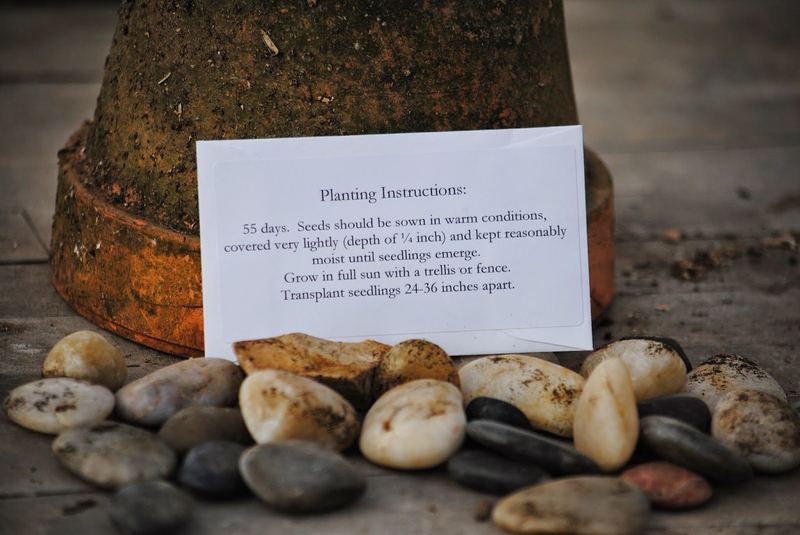 Who's Ready for Gardening Season? – photo 6