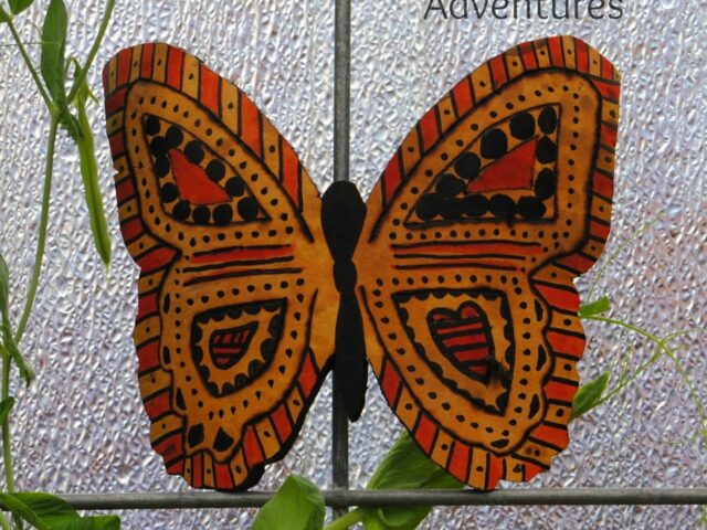 Butterfly Doodles