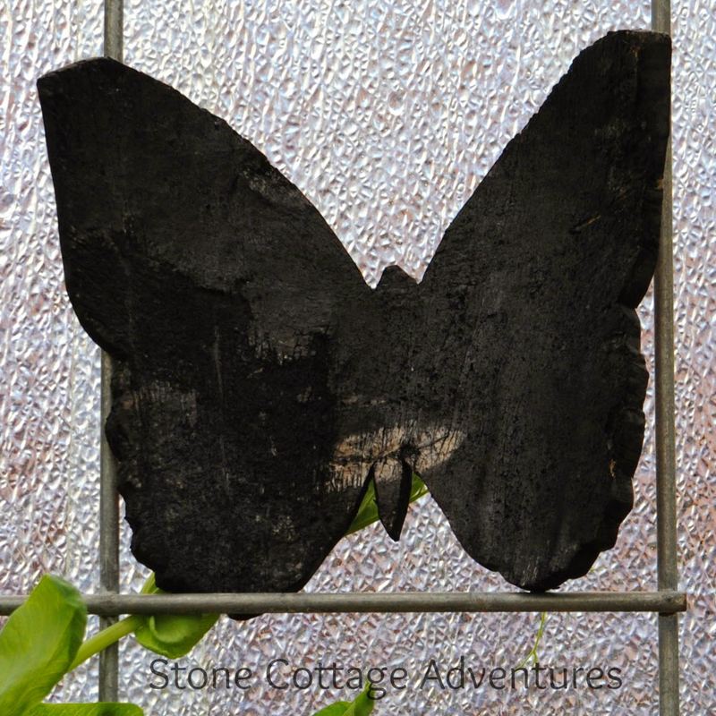 Butterfly Doodles – photo 4