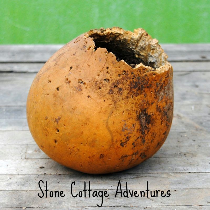 Surprise Flower Pot – photo 2