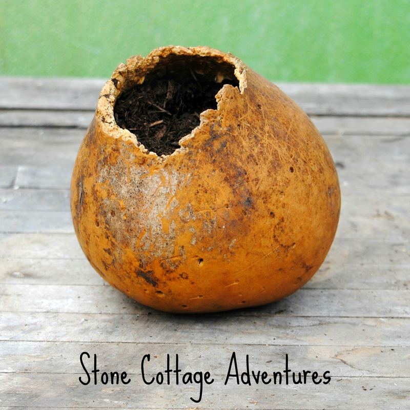 Surprise Flower Pot – photo 3
