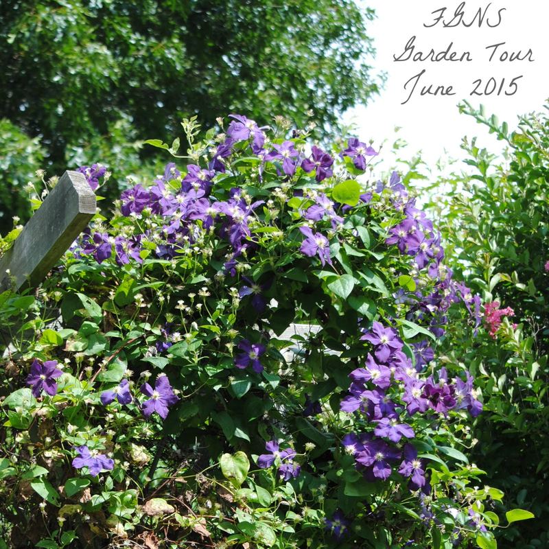 FGNS Garden Tour, June 2015 {Part One} – photo 10