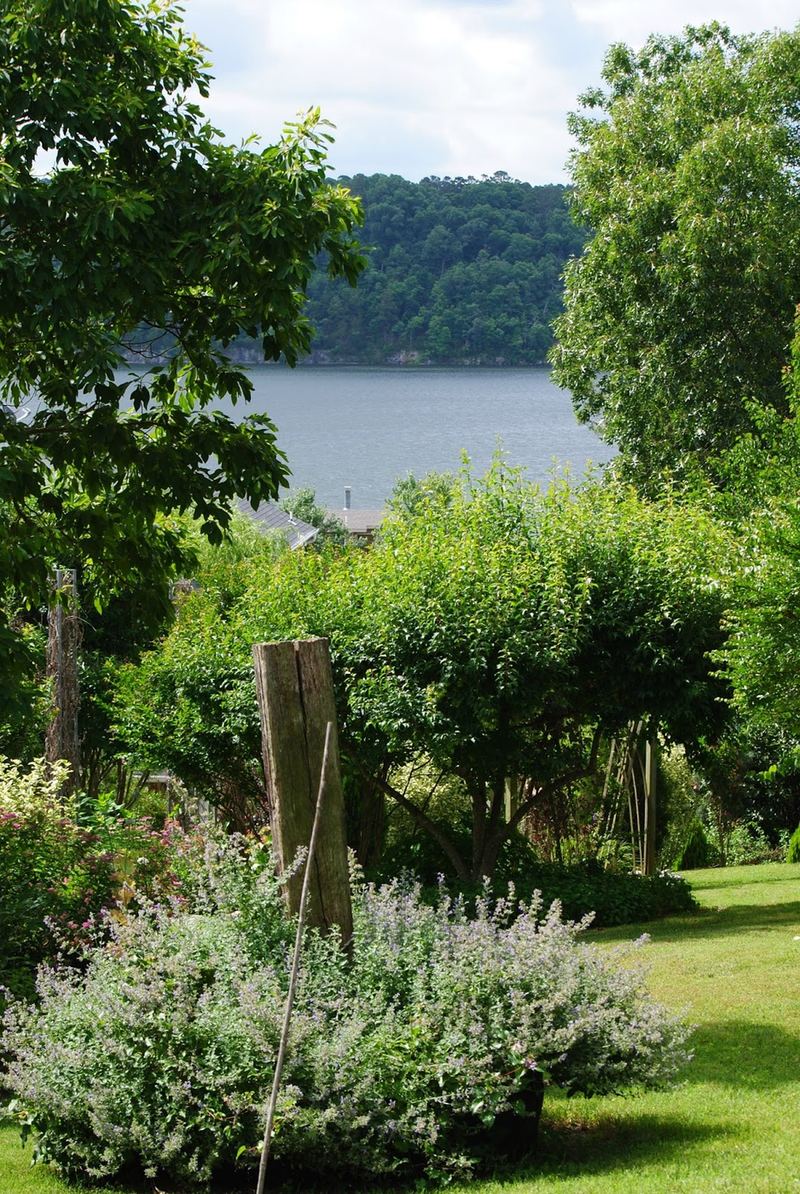 FGNS Garden Tour, June 2015 {Part One} – photo 13