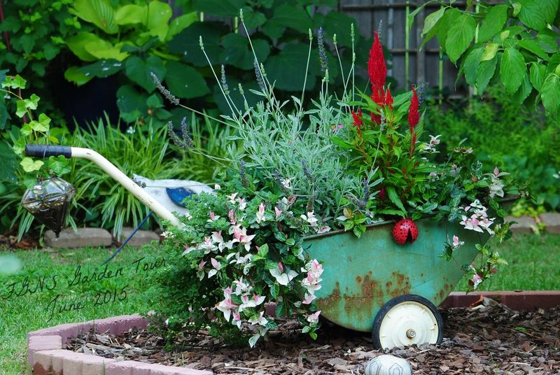 FGNS Garden Tour, June 2015 {Part One} – photo 3