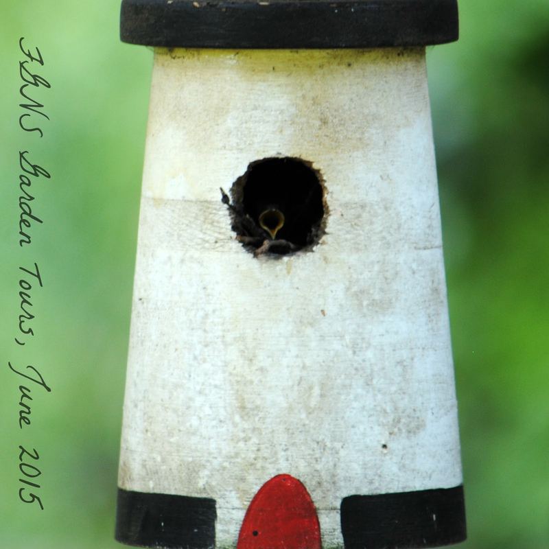 FGNS Garden Tour, June 2015 {Part One} – photo 9