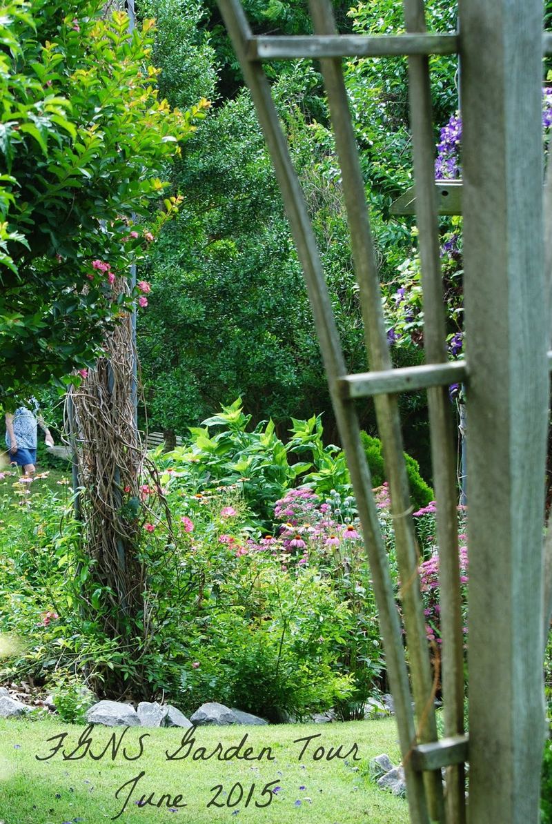 FGNS Garden Tour, June 2015 {Part Two} – photo 7