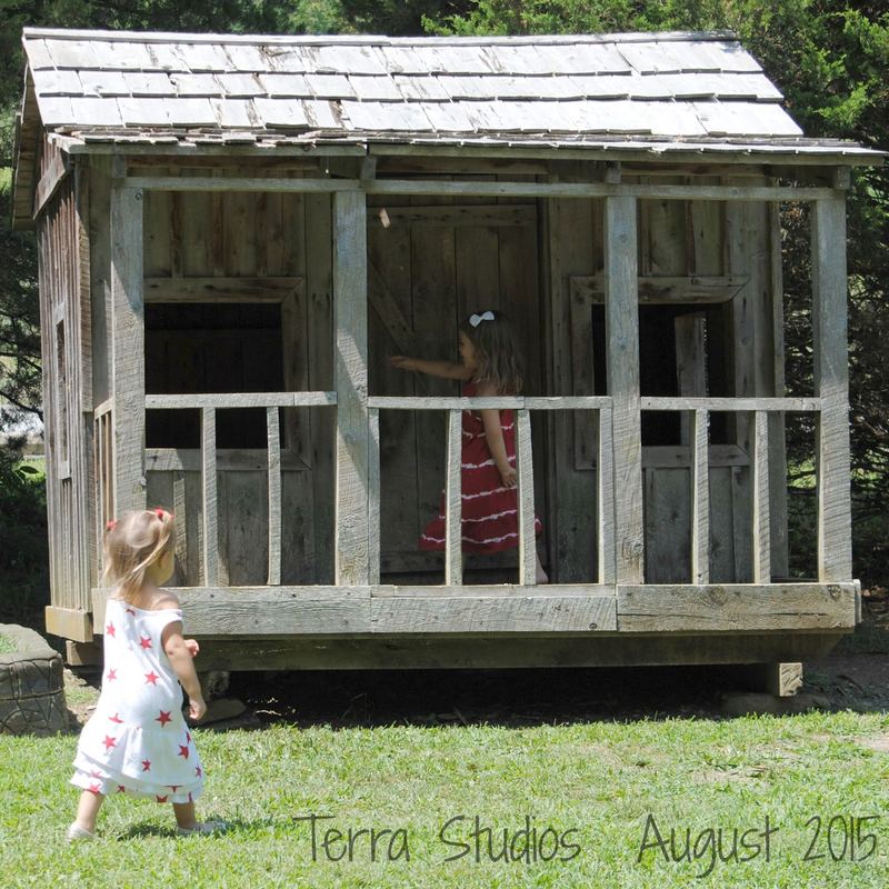A Magical Place with Dragons and Blue Birds, Terra Studios Part 1 – photo 10