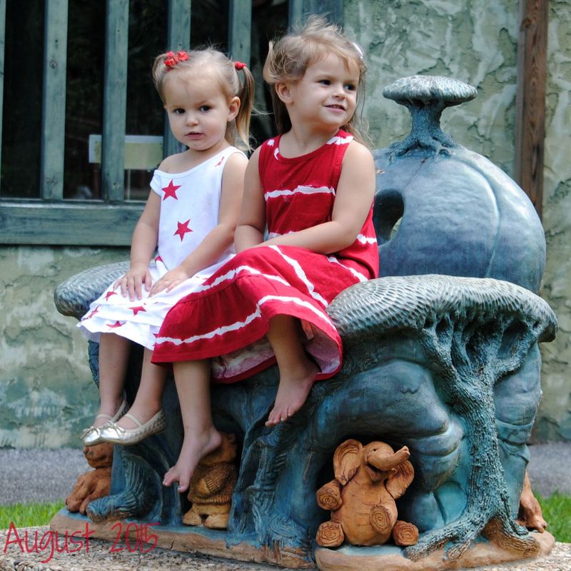 A Magical Place with Dragons and Blue Birds, Terra Studios Part 1 – photo 4