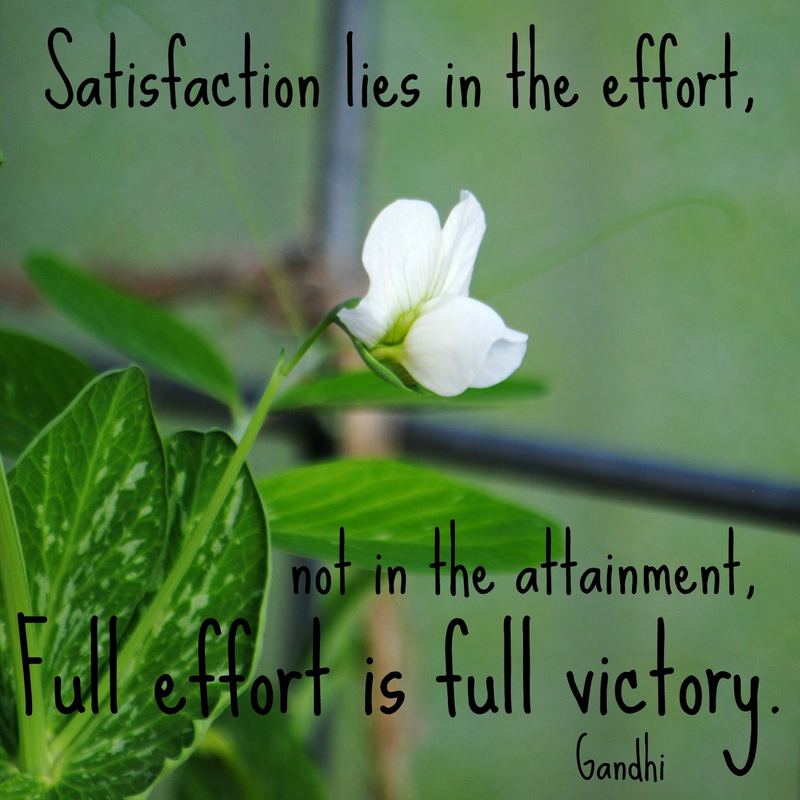 Do Your Best – photo 1