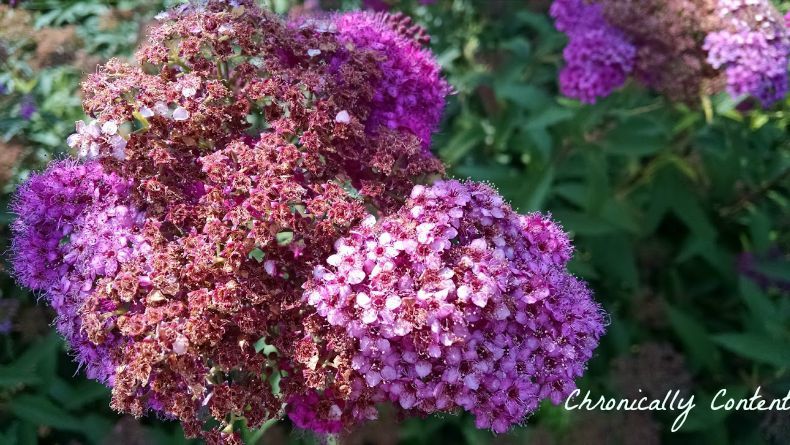 Announcing the Winners! – photo 5
