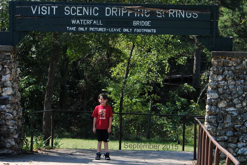 Natural Falls State Park, A Favorite Hiking Spot – photo 4