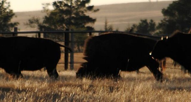 Old Fort Hays
