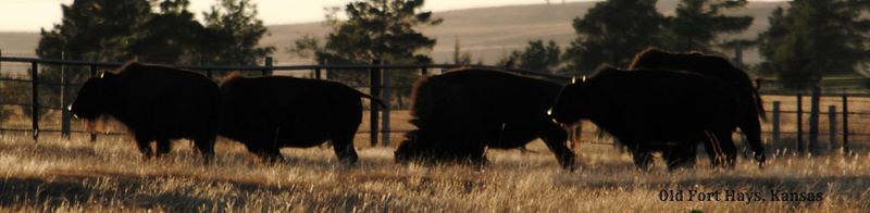 Old Fort Hays – photo 1