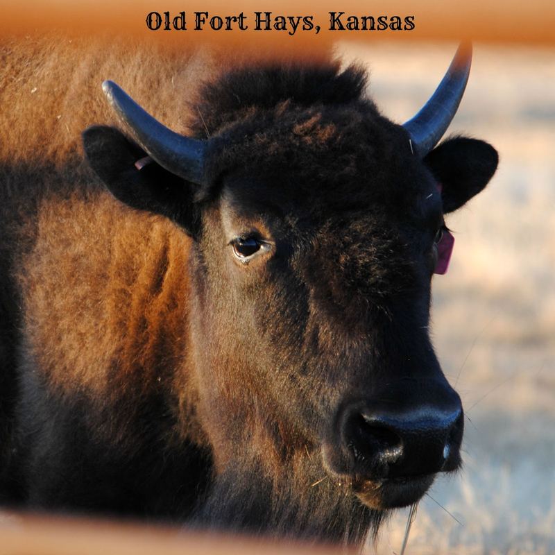 Old Fort Hays – photo 3