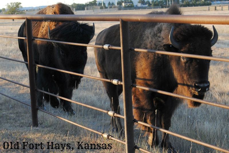 Old Fort Hays – photo 4