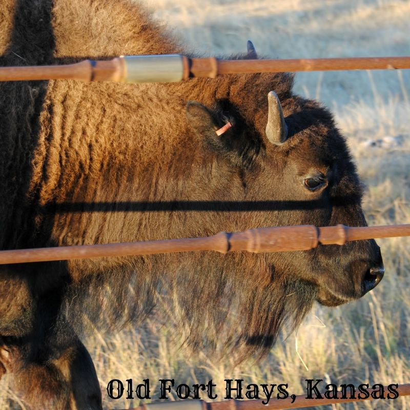 Old Fort Hays – photo 5