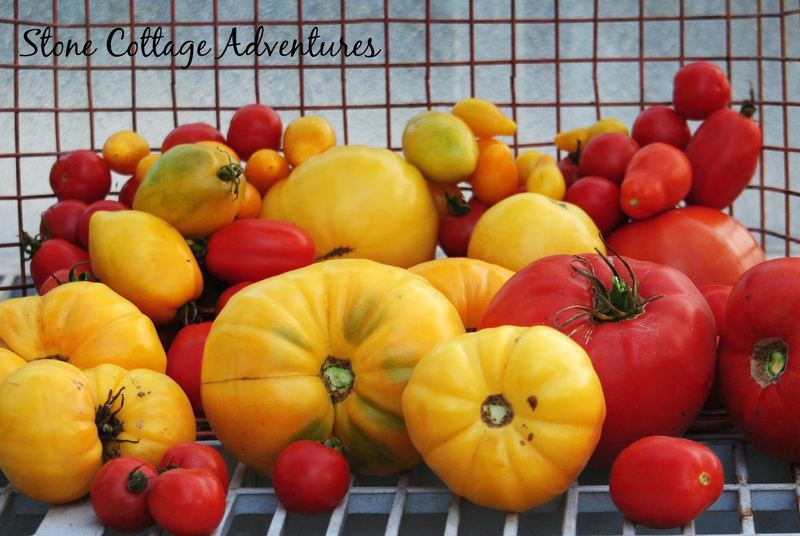 GARDENING GIVEAWAY!! – photo 2