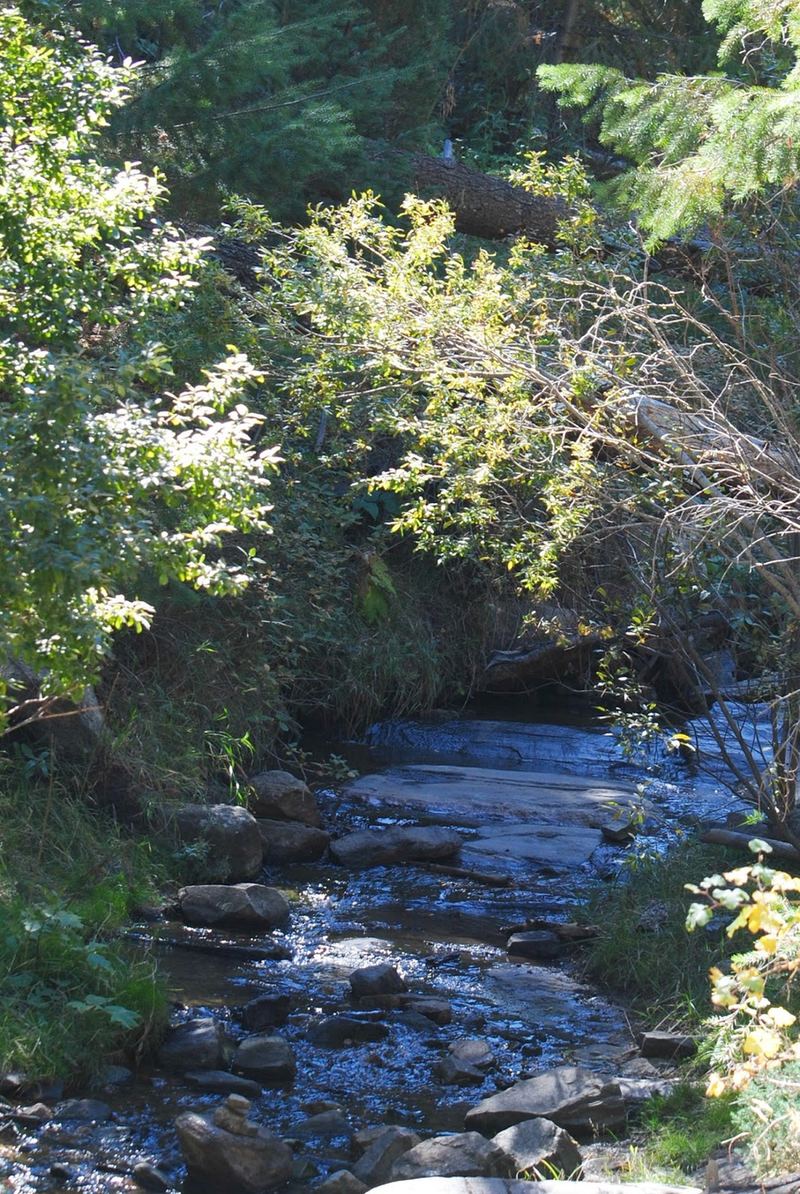 Hiking on Beaver Brook Trail – photo 10
