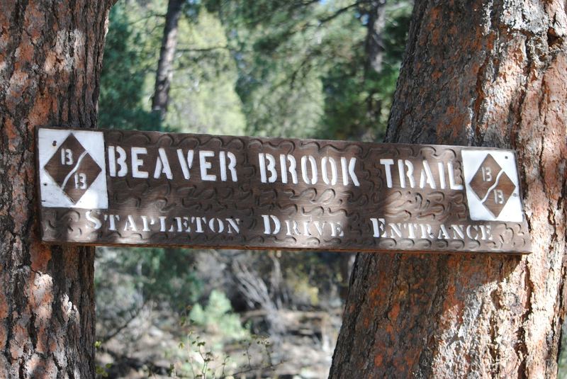 Hiking on Beaver Brook Trail – photo 3