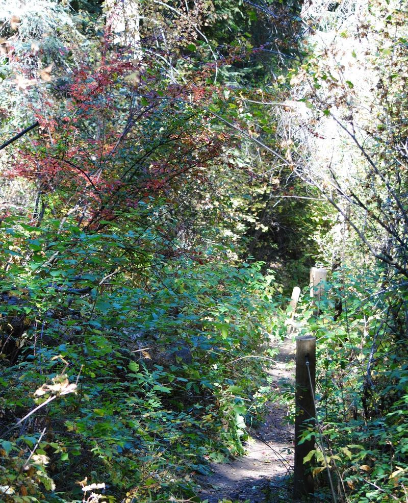 Hiking on Beaver Brook Trail – photo 5